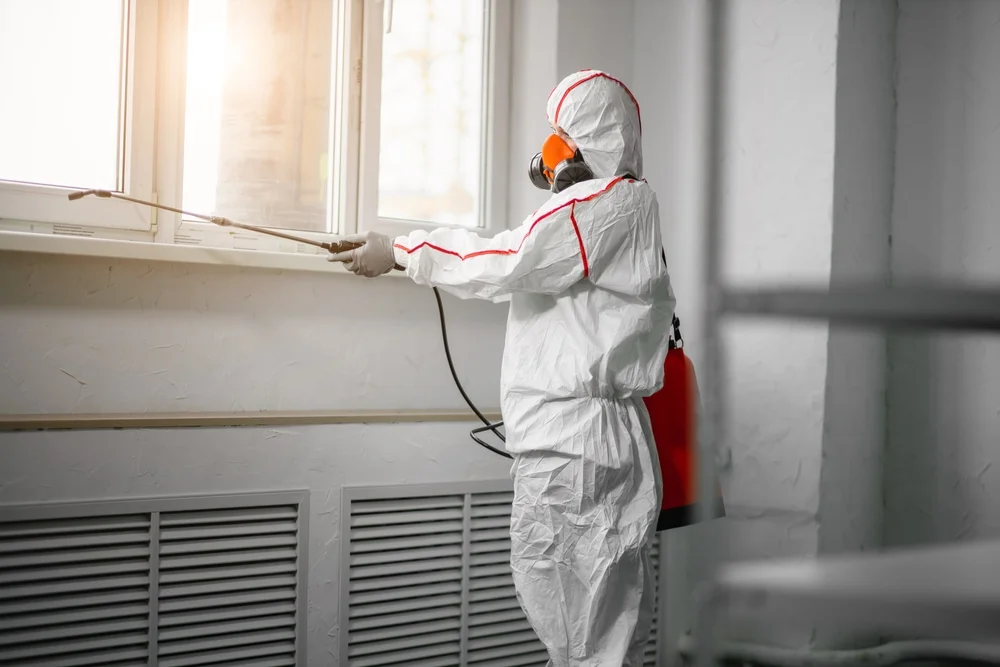 Professional mold remediation services in Park Ridge, NJ